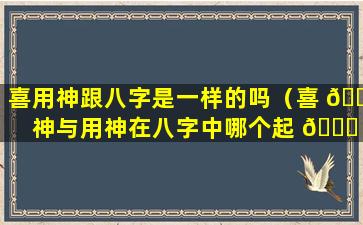 喜用神跟八字是一样的吗（喜 🐶 神与用神在八字中哪个起 🐟 主导作用）